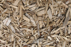 biomass boilers Rattlesden